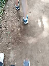 2405 What 5K0025