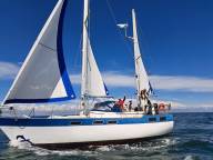 IMG 20250511 WA0091