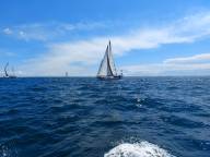 IMG 20250511 WA0124