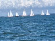 IMG 20250512 WA0008