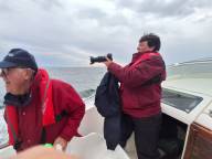 IMG 20250512 WA0021